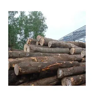 New Quality Hard Teak round wood log from USA with the cheapest price