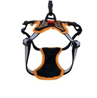 Ensemble harnais et laisse pour chien mignon Accessoires pour animaux de compagnie en maille de style mode du fournisseur vietnamien avec motif personnalisé
