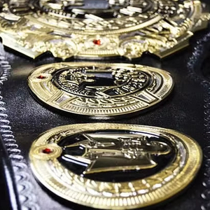 Ceintures de championnat personnalisées Trophées Médailles et récompenses le symbole ultime de la victoire et de l'excellence Ceintures de championnat - Product Image 1