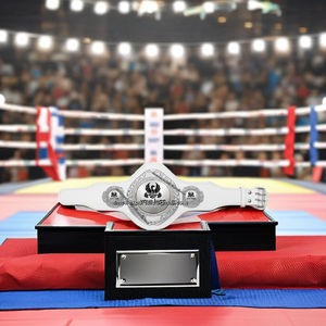 Custom Eco-Friendly PU Leather Martial Arts Competition <b>Belts</b> for Taekwondo Boxing MMA & Wrestling-<b>Gold</b>/Silver Colors Unisex - Product Image 1