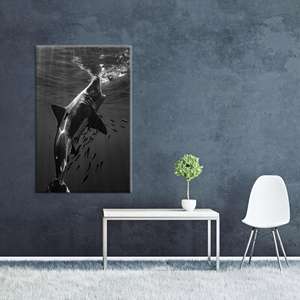 Tableau sur toile imprimé élégant : Requin océanique dans une scène sous-marine vibrante, TOILE ENVELOPPEE - Product Image 1
