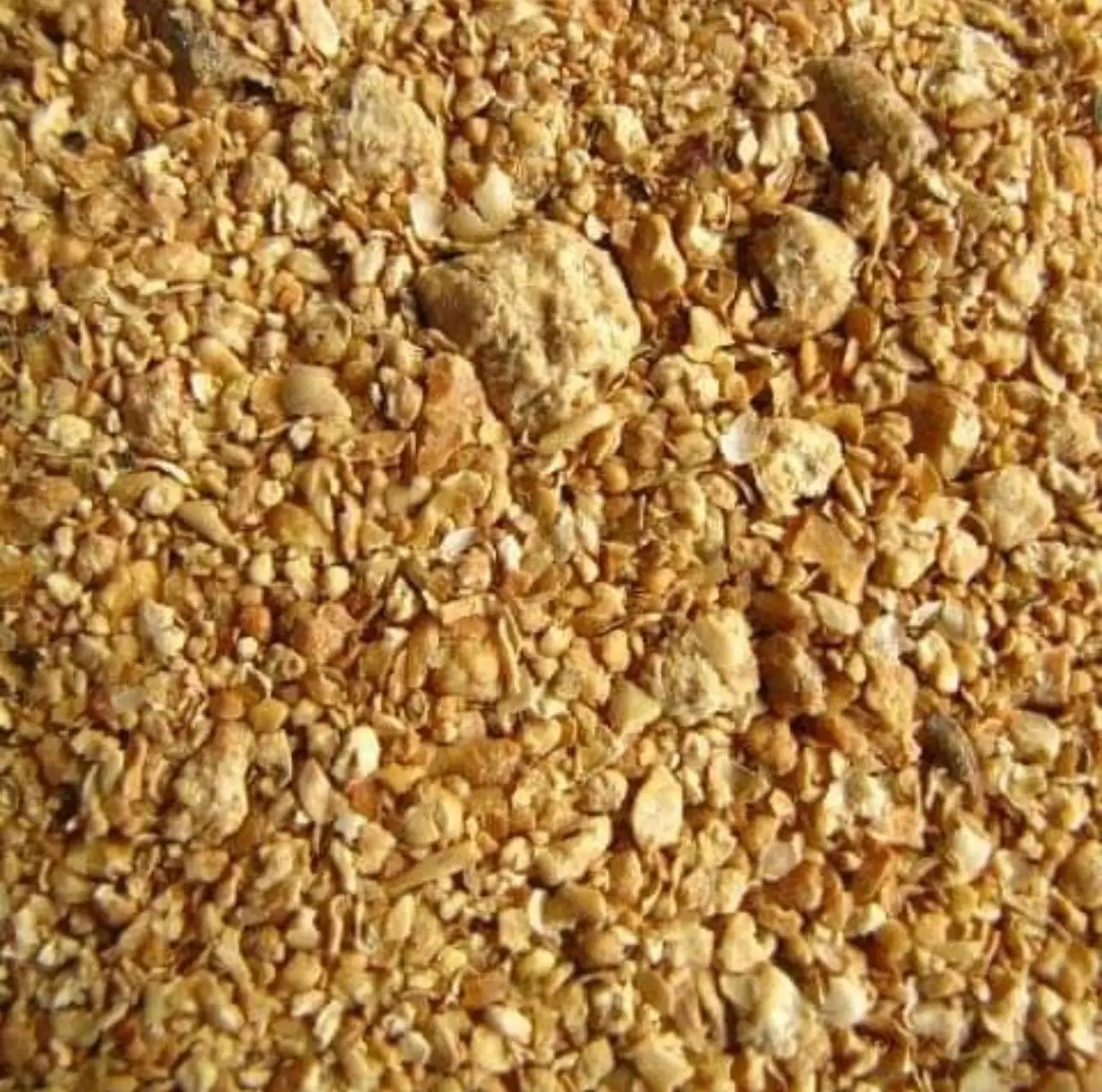 Protein Quality Soybean Meal / Soya Bean Meal for Animal Feed High Protein Quality Soybean Meal / Soya Bean Meal for Animal