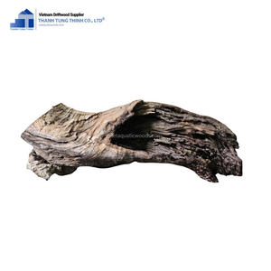 Decoración de acuario de valor artístico y cultural duradero natural superventas para centros de mesa y Decoración de mesa hecha en Vietnam - Product Image 6