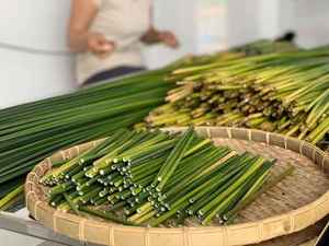 Pajita de hierba natural, Pajita desechable ecológica para beber en frío y caliente, respetuosa con el medio ambiente, reutilización, ahorro de costes 100% - Product Image 3