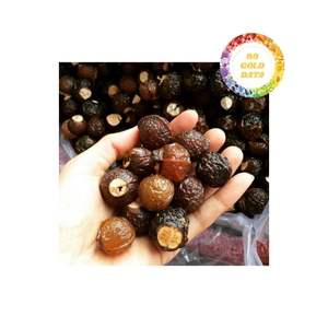 Vietnam <b>Soap</b> Nuts For Export With Strong Washing Ability And Competitive Factory Price Suitable For Various Household Uses - Product Image 4