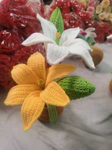 Maceta de Lirios Tejida a Mano, Maceta de Flores de Ganchillo, Regalo de Inauguración de Casa, Regalo de Cumpleaños, Decoración Floral de Lirios para el Hogar - Product Image 3