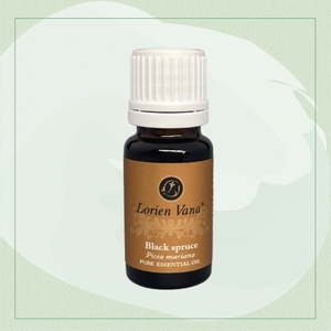 น้ำมันหอมระเหยบริสุทธิ์ 100% จากต้นสนดำ - อโรมาเธอราพีจากสนธรรมชาติ - Product Image 1