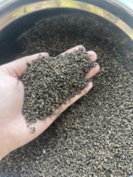 Poivre noir en grains TETE DEPINGLE POIVRIER VIETNAM 5MM, 3MM, 2.5MM, 2MM, 1.5MM, 1MM - ANNA DO VILACONIC
