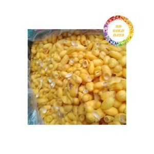 Cocon de ver à soie pour la production de fibres de soie offrant une qualité supérieure Texture durable Produit de luxe Meilleur prix Approvisionnement à l'exportation - Product Image 2