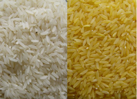 Nouvelle ligne de production de riz artificiel entièrement automatique à extrudeuse bivis continue avec contrôle moteur PLC et excellent rapport qualité-prix