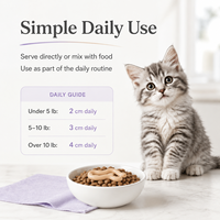 Pâte Premium Anti-Boules de Poils pour Chats 100g - Extrait de Malt & Huile de Saumon pour la Santé Digestive & le Contrôle des Boules de Poils OEM/Marque Privée
