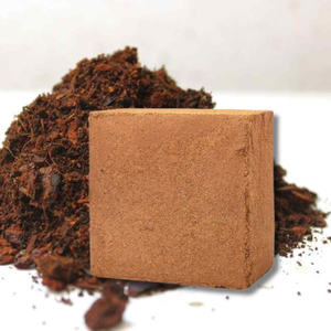 BEST SELLING PRODUCT <b>Coir</b> Peat for Soil Amendment and Hydroponics Eco Green Quality From Vietnam - Product Image 1