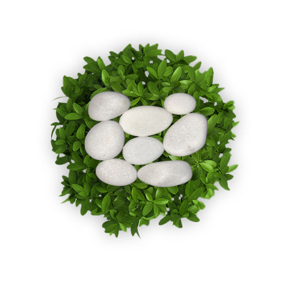 hot selling landscape decorative cheap price white pebbles stone