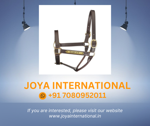 Halter d'exposition de style piste en cuir de qualité supérieure avec plaque pliante - Product Image 2