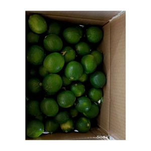 Vietnam Lime Export Qualité Mince Peel Haut Rendement De Jus Propre Et Naturel Emballé Par Demande Du Client Pour Le Marché International - Product Image 2