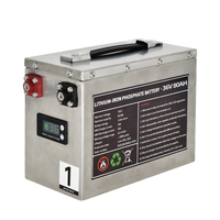 Paket Baterai Lithium Ion 36 Volt untuk Kapal Laut Akku 36v 40ah 50ah 60ah 80ah 100ah 200ah Lifepo4 Baterai Motor Trolling
