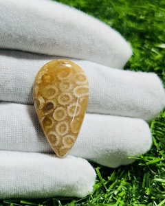 ปะการังฟอสซิลฟอสซิลธรรมชาติทำด้วยมืออัญมณีหลวมขนาดตามสั่งสำหรับทำเครื่องประดับหินคริสตัลบำบัดขายส่ง - Product Image 4