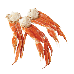 Mejillones de cangrejo de nieve rojos/Patas de cangrejo de nieve de calidad/Cangrejo de nieve congelado en racimo - Product Image 5