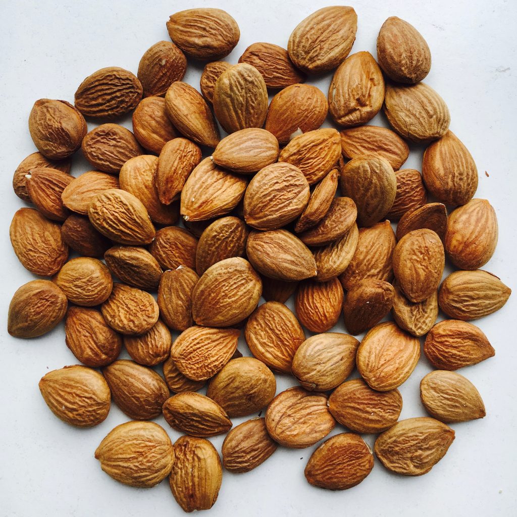 Абрикос косточка ядрышко. Горький абрикос. Горький абрикос. Абрикосовые косточки шурданак. Абрикос с горькой косточкой.