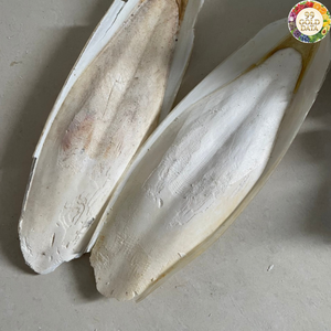 Matériel marin séché propre Os de seiche du Vietnam Idéal pour les accessoires pour animaux de compagnie et la production artisanale - Product Image 5