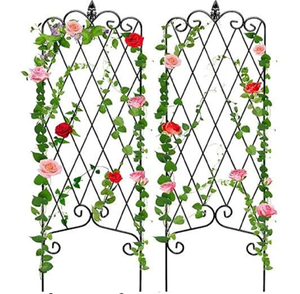 Petit treillis rond pour soutenir les légumes grimpants fleurs et vignes disponibles au prix de gros - Product Image 3