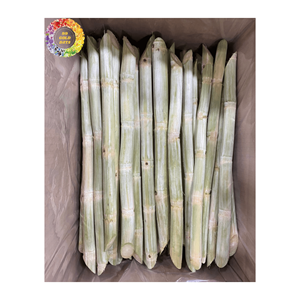 La canne à sucre congelée naturelle bloque la bonté non traitée pure du Vietnam pour la production d'aliments frais - Product Image 5