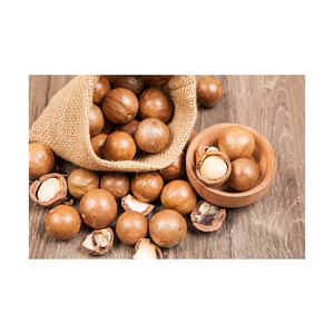 เมล็ดแมคคาเดเมียอบแห้งคุณภาพสูง แท้ 100% 500 กรัม/แพ็ค แพ็คใหญ่ - Product Image 1