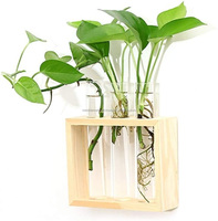 Bureau à domicile Décor de bureau intérieur station de propagation en verre hydroponique plante terrarium bois flotté vase tube à essai en bois flotté