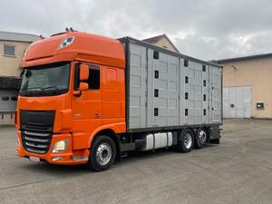 DAF XF 105 (Transport d'animaux/chevaux) - Product Image 2