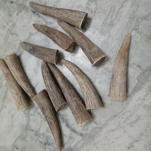Eco-Friendly Natural Buffalo <b>Cow</b> Horn Tip Raw Pieces for DIY Craft Carving Knife Handles Jewelry Making Traditional Handicraft - Product Image 4