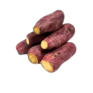 新鲜冷冻甘薯从越南供应商批发，质量最高