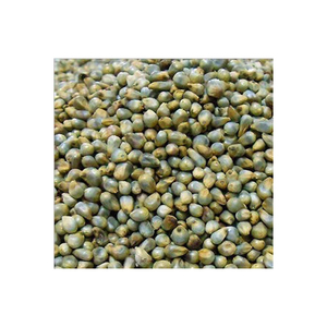 Millet rouge et vert décortiqué par millet jaune frais naturel de catégorie comestible pour l'alimentation humaine et d'oiseau - Product Image 1