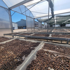 Rôti de robusta à haute intensité du Vietnam Variété Arabica de qualité pour l'exportation Traitement propre Commandes de marque privée Bienvenue - Product Image 6