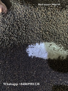 Hot Selling High Quality <b>Black</b> <b>Pepper</b> From Vietnam Dried Raw Spices in <b>Powder</b> Form +84869981238 Free Sample - Product Image 2