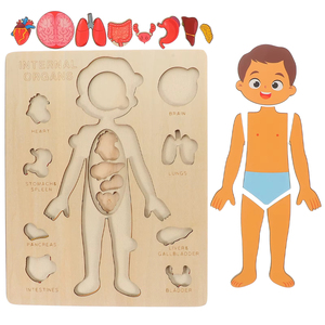 Jouets Montessori en bois pour enfants, puzzles sur les organes du <span class=keywords><strong>corps</strong></span> <span class=keywords><strong>humain</strong></span>, jouet éducatif, activités d'apprentissage pour la maternelle, planche d'activités - Product Image 3