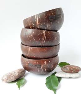 Cuenco de cáscara de coco artesanal vietnamita, juego de cucharas y cuencos de coco de alta calidad para cuencos duraderos, venta al por mayor - Product Image 1