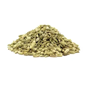 High Quality Single Spices Pure Organic Fennel Seed From Wholesale Supplier