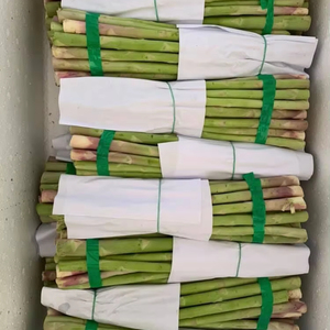 Asperges fraîches 100% naturelles de haute qualité en stock en vrac prix de gros bon marché - Product Image 1
