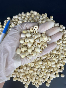 Venta al por mayor Semilla de loto seca origen Vietnam ingrediente natural de alta calidad para postres sopas gachas y cocina tradicional - Product Image 6