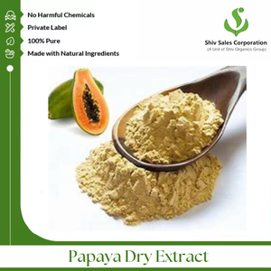 Vente en gros fabricant qualité d'exportation 100% extrait sec de papaye pure et naturelle poudre d'origine indienne vente en gros - Product Image 3