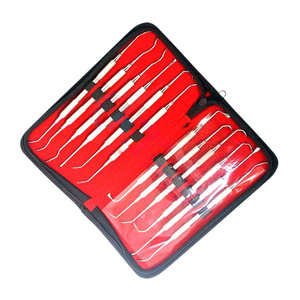 Juego de instrumentos de relleno Dental de alta calidad, 12 Uds., Kit de herramientas de Odontología de acero inoxidable, juego dental, instrumentos quirúrgicos - Product Image 5