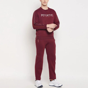 Nouveau 100% coton matériel hiver porter hommes survêtement haute qualité Street Wear hommes survêtement ensemble à vendre 2025 - Product Image 2