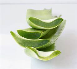 ETIQUETA LIMPIA FUENTE DE HIDRATACIÓN Y BIENESTAR BASADA EN ALOE VERA CONGELADO - Product Image 6