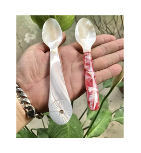 Cuillères à coquillage naturelles fabriquées à la main du Vietnam: finition lisse, idéales pour les présentations gastronomiques. - Product Image 1