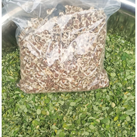 Semillas de Moringa Secas Enteras Premium de Indonesia con 12 Meses de Vida Útil