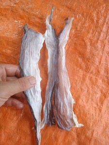 Proveedor de Vietnam de Piel de Pescado Seca/ Fábrica de Piel de Pescado Basa/Pangacius Seca - Product Image 4