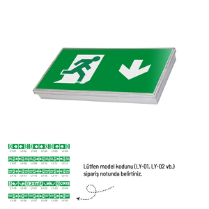 Single-Sided SL Series Exit Directional Luminaire 30 X 318 X 140 mm 220V Outdoor Emergency Sign <b>Light</b> with SMD IP65 - Product Image 1
