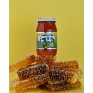 Miel de pin biologique naturel Sepe 480g en pot Mason |   Jus de pin turc de qualité supérieure, qualité alimentaire, 80% Brix, en vrac - Product Image 3