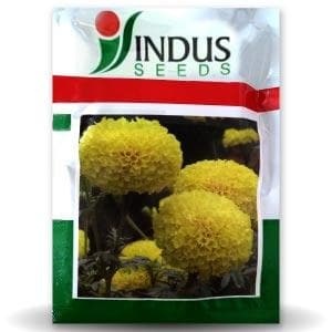 Semillas de Caléndula Alta Rendimiento Benz, Flores Compactas Amarillo Limón, Altura de Planta 90-100 cm, Altura de Flor 8-10 cm, Flores Frescas Recién Cortadas - Product Image 1