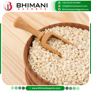 เมล็ดงาขัดผิว ปอกเปลือก แห้ง สด คุณภาพดี ราคาถูก ปลอดจีเอ็มโอ ได้รับการรับรองจาก APEDA สำหรับบริโภคจากมนุษย์ นำเข้าจากอินเดีย - Product Image 2